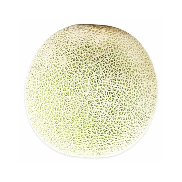 Fresh Cantaloupe, Each - Image 2